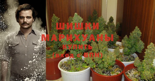 mdpv Магадан