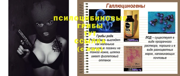 гашик Новодвинск