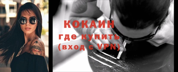 гидра Нея