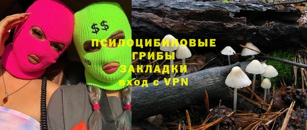 гашик Новодвинск