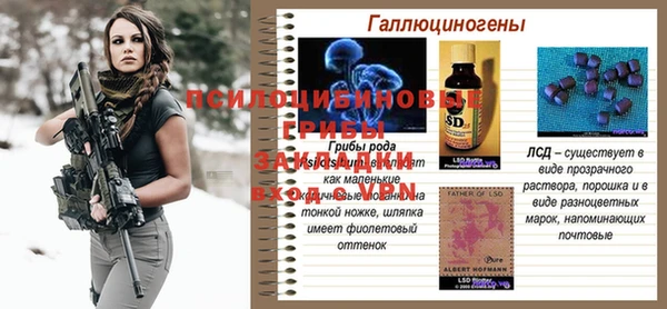 mdpv Магадан