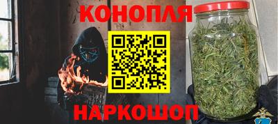 прущие крисы Кандалакша