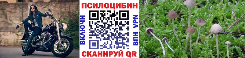 Псилоцибиновые грибы MAGIC MUSHROOMS купить Северск