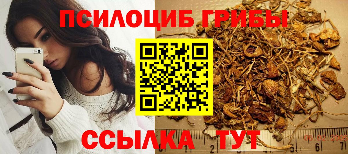 Северск  Галлюциногенные грибы MAGIC MUSHROOMS  Вход с VPN 