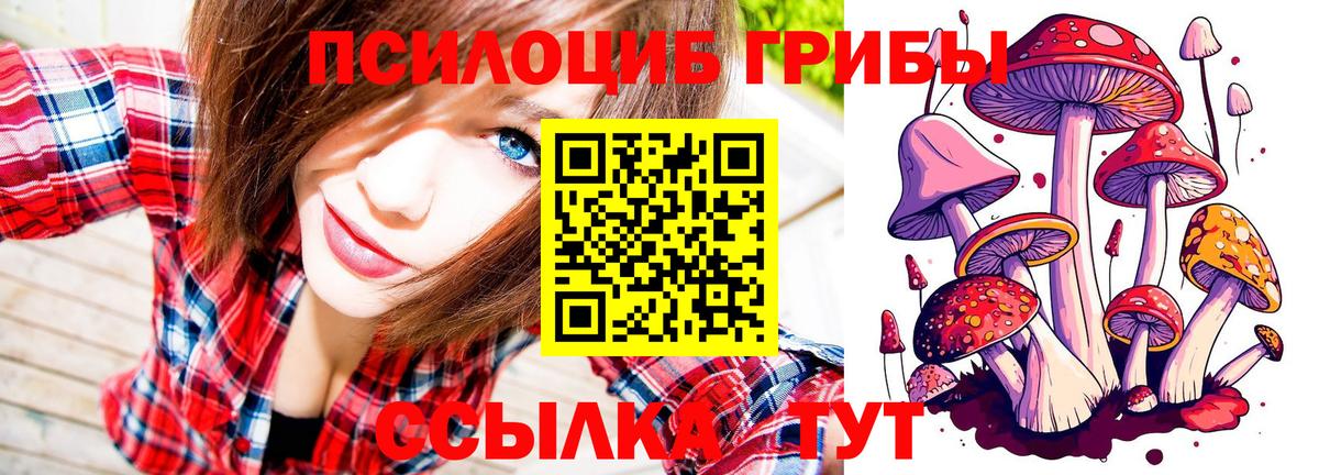 Псилоцибиновые грибы мицелий Северск